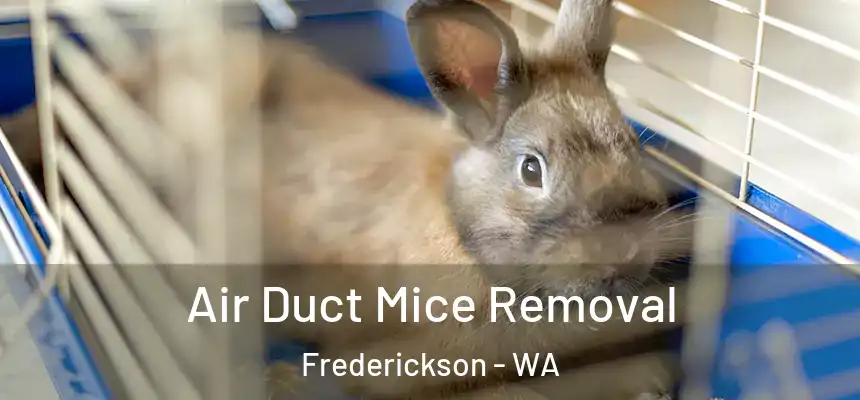  Air Duct Mice Removal Frederickson - WA