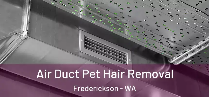 Air Duct Pet Hair Removal Frederickson - WA
