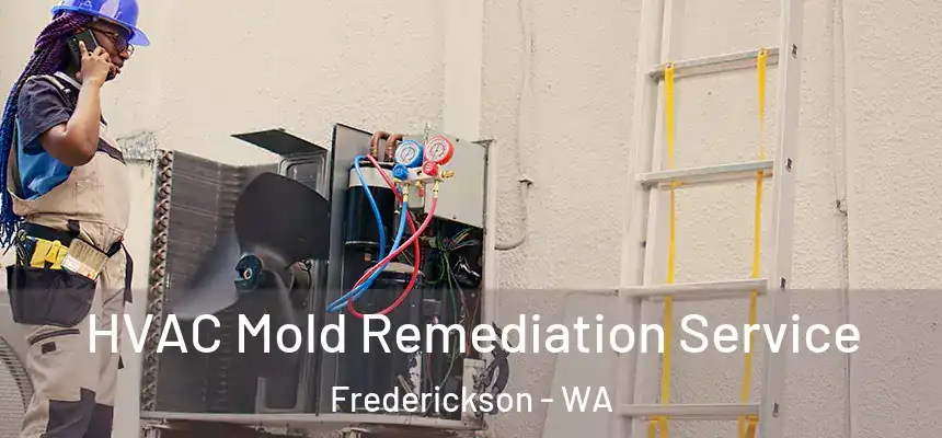  HVAC Mold Remediation Service Frederickson - WA