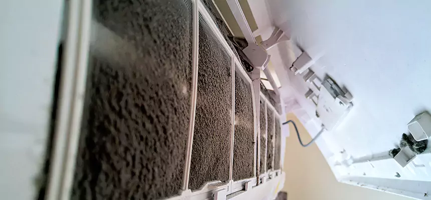 Preventive Air Duct Bacteria Removal in Frederickson