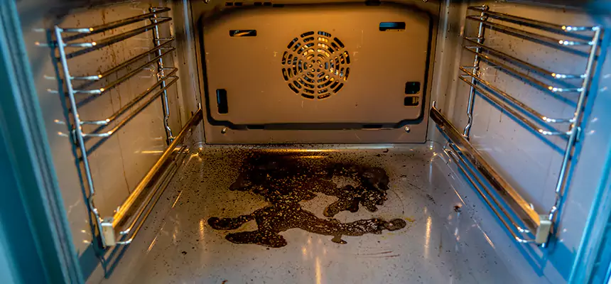 Our Dryer Vent Mold Cleaning Services in Frederickson, WA