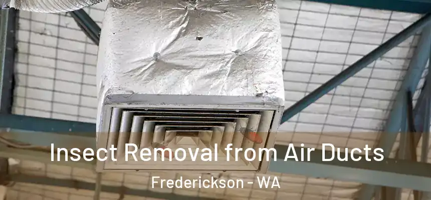 Insect Removal from Air Ducts Frederickson - WA