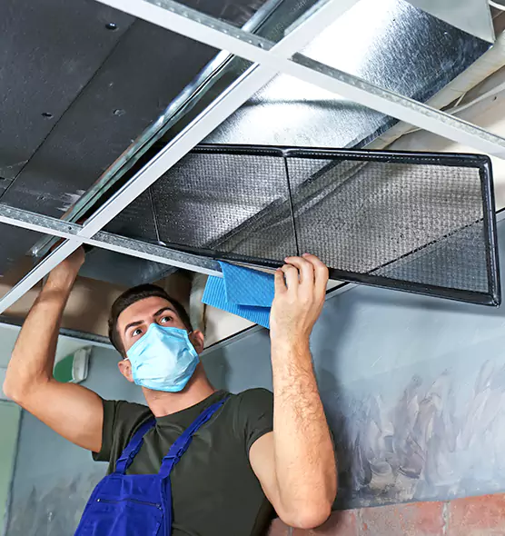 About Air Duct Bacteria Removal in Frederickson
