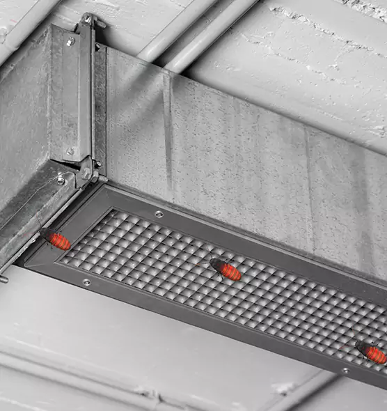 About Air Duct Cockroach Removal in Frederickson, WA
