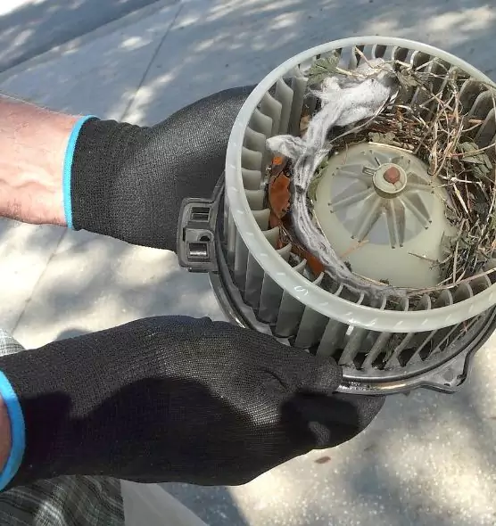 About Air Duct Mice Removal in Frederickson, WA