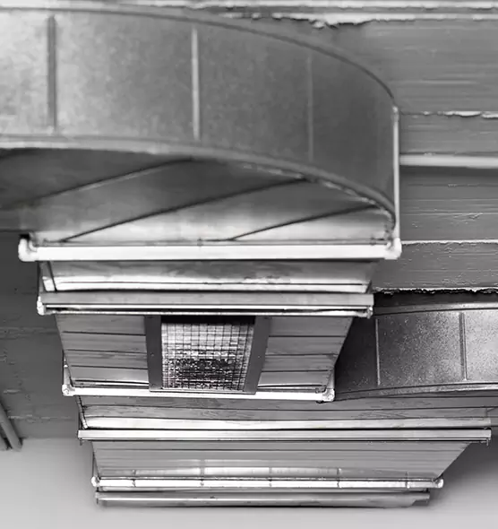 Professional Air Duct Pet Hair Removal in Frederickson, WA