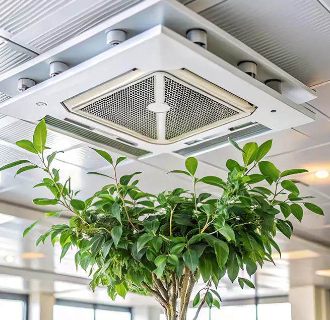 Why Homeowners & Businesses Trust Us in Frederickson, WA?