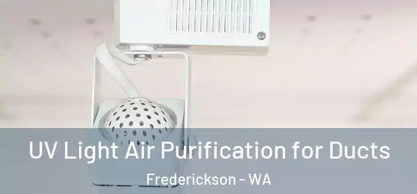  UV Light Air Purification for Ducts Frederickson - WA
